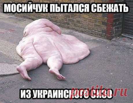 Привет, чувак! Письмо от представителя поколения 60летних