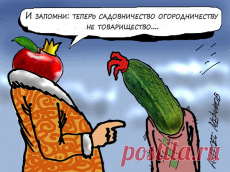 У дачников опять вырастут налоги: Дума приняла новый закон