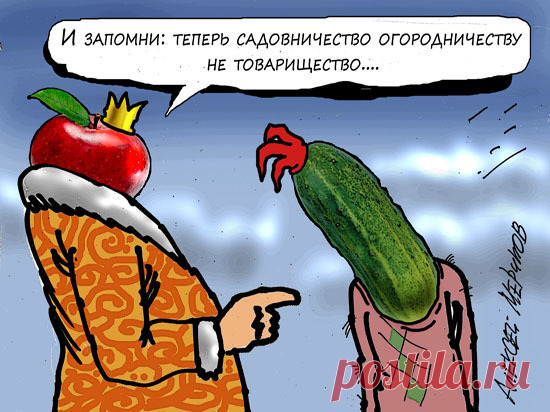 У дачников опять вырастут налоги: Дума приняла новый закон