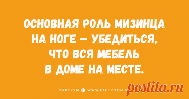 Забавные анекдоты обо всём на свете, которые вызовут у вас неконтролируемый смех