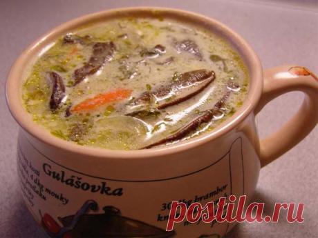 Грибной суп из свежих, сушеных или замороженных грибов. Топ 8 рецептов супов, грибного сезона 2017