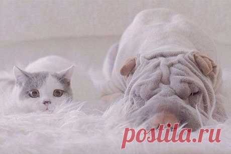 ©Handmade / Рукоделие