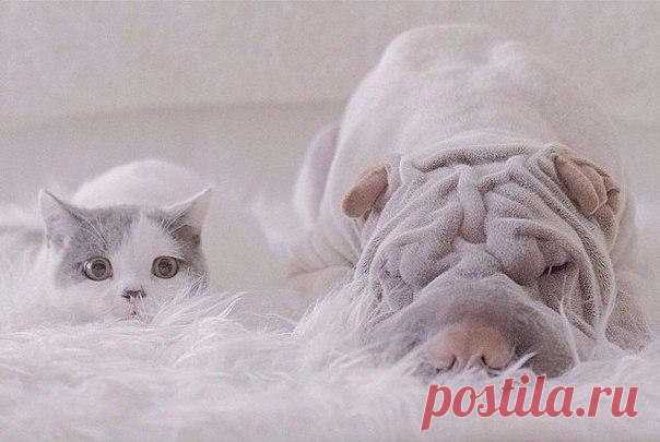 ©Handmade / Рукоделие