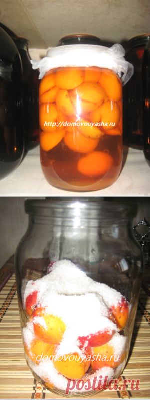 Домашняя настойка абрикосовая. Проверенный временем рецепт | Народные знания от Кравченко Анатолия