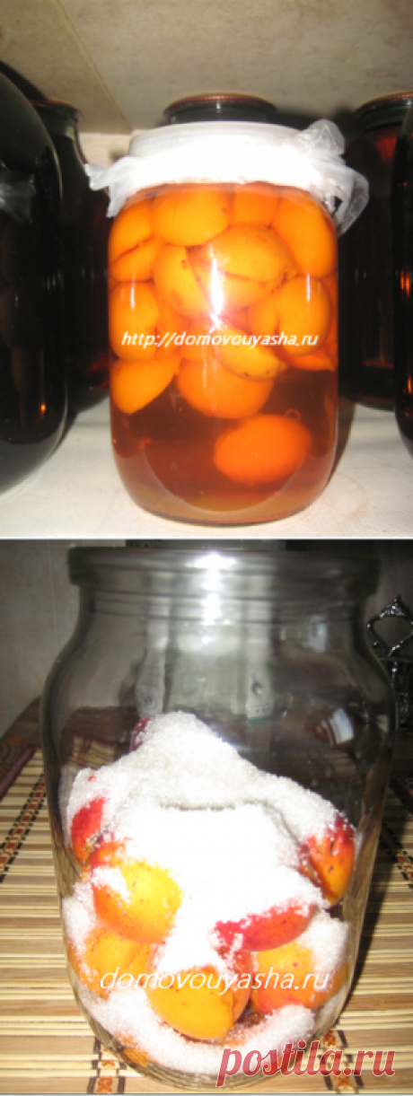 Домашняя настойка абрикосовая. Проверенный временем рецепт | Народные знания от Кравченко Анатолия