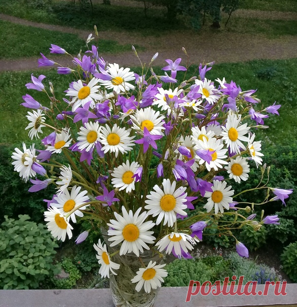 С ДОБРЫМ ЛЕТНИМ УТРОМ :-))😊😊😊