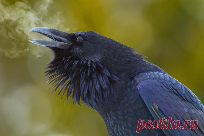 20 невероятных фотографий без грамма фотошопа