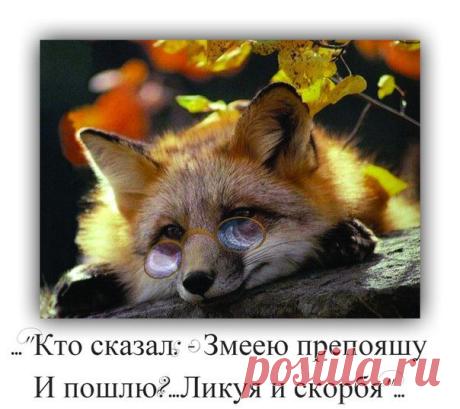 Юрий Пахомов