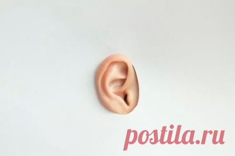 От простуды до менингита – одно ухо: чем опасен отит
Звенит, шуршит, щелкает, стреляет и, конечно же, болит – так ведет себя...
Читай дальше на сайте. Жми подробнее ➡