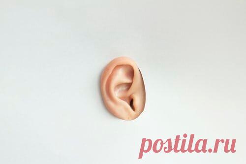 От простуды до менингита – одно ухо: чем опасен отит
Звенит, шуршит, щелкает, стреляет и, конечно же, болит – так ведет себя...
Читай дальше на сайте. Жми подробнее ➡