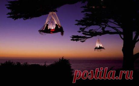 Кемпинг на деревьях, побережье Калифорнии,