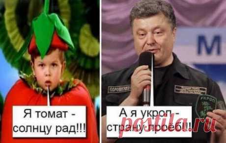 Томат - Укроп