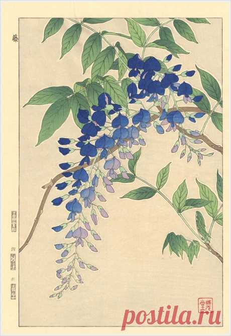 Shodo Kawarazaki. Японские гравюры.