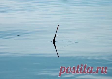 Весенняя ловля на поплавок