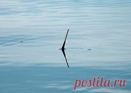 Весенняя ловля на поплавок