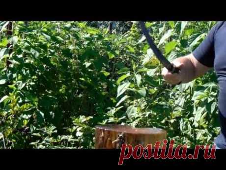 Шашка.&quot;Нижегородка&quot;..(3).Рубка бутылок.Новичок.(02.08.2015г.Минск) - YouTube