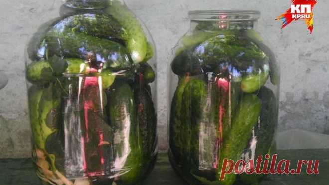 Рецепты вкусных соленых огурцов от барнаульцев — Полезные советы