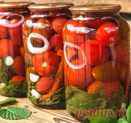 ВКУСНЕЙШИЕ ПОМИДОРЫ С МАЛИНОВЫМИ ЛИСТЬЯМИ 
..