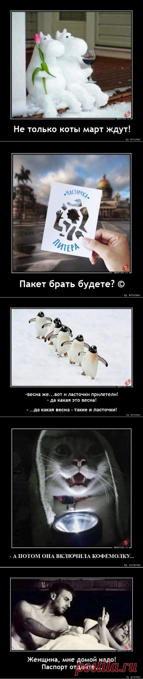 Демотиваторы-262