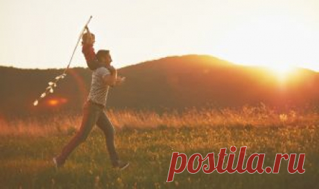 Рецепты счастья (Дикая Собака Динго) / Стихи.ру