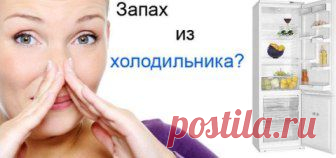 (+1) тема - Как убрать запах из холодильника | МОЙ ДОМ
