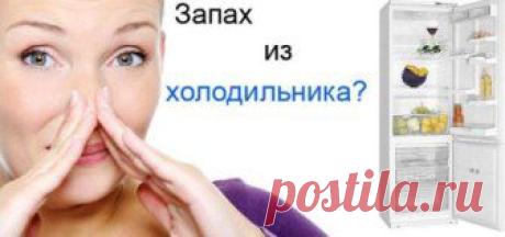 (+1) тема - Как убрать запах из холодильника | МОЙ ДОМ