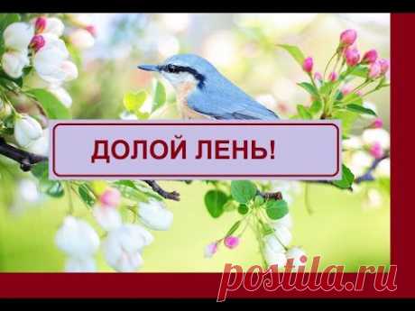 ВЕСНА ДОЛОЙ ЛЕНЬ