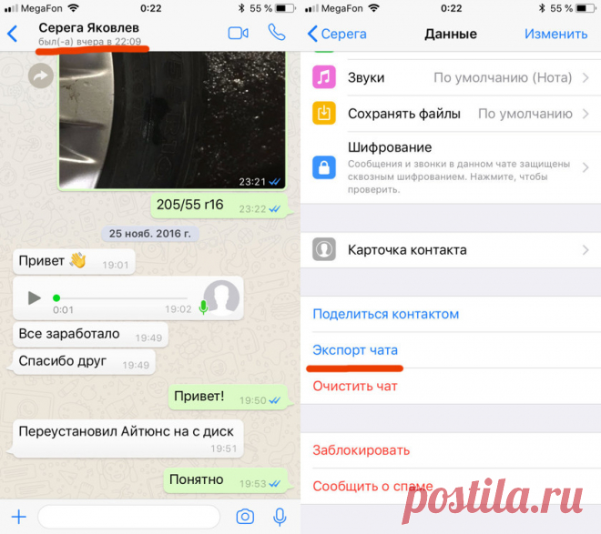 7 обязательных функций WhatsApp, которые надо знать - Mail Hi-Tech