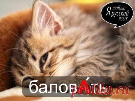 Стена
