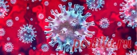 (29) Зачем проверять антитела и как делать это правильно... - Познавательный сайт ,,1000 мелочей" - медиаплатформа МирТесен Сейчас многие тестируются на антитела к “короне”: кто-то хочет знать, не переболел ли он бессимптомно, кто-то – оценить состояние после прививки. Лаборатории предлагают разные тесты – и наши, и зарубежные. Как не запутаться и сдать именно тот анализ, какой нужен? Информация с сайта