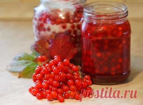 ВКУСНЫЕ И ПОЛЕЗНЫЕ РЕЦЕПТЫ ИЗ КАЛИНЫ.