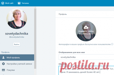 Настройки сайта на WordPress - Помощь пенсионерам