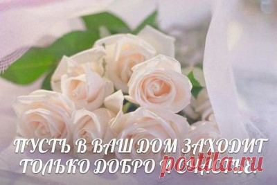 Профиль пользователя Людмила (Людмила)