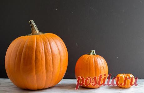 Домохозяйка три года совершенствовала этот рецепт. Только посмотри, что у нее получилось! Есть чему поучиться… Вот что она пишет с гордостью.
"Не сочтите за хвастовство, но я считаю, что все, что я делаю, у меня получается. Я всегда пыталась улучшить рецепты, я все еще над этим работаю, но у меня уже есть рецепты, которые я использую регулярно, и те, которыми я пользуюсь только для праздников и особых случаев.
