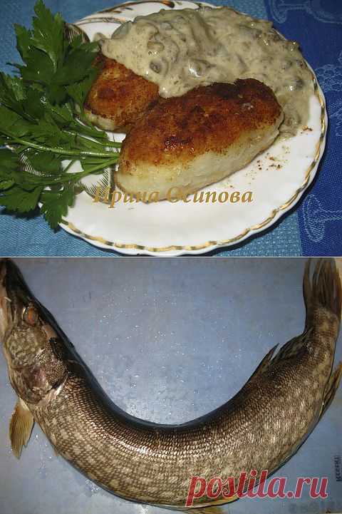 Щучьи котлеты с грибным соусом | Четыре вкуса