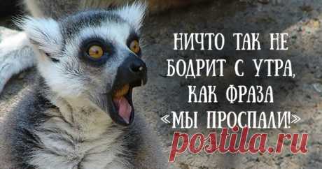 12 веселых открыток, которые зарядят вас позитивом
