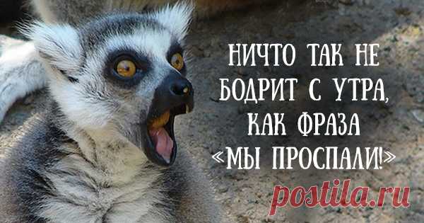12 веселых открыток, которые зарядят вас позитивом