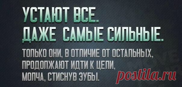 "Коралловый Клуб"