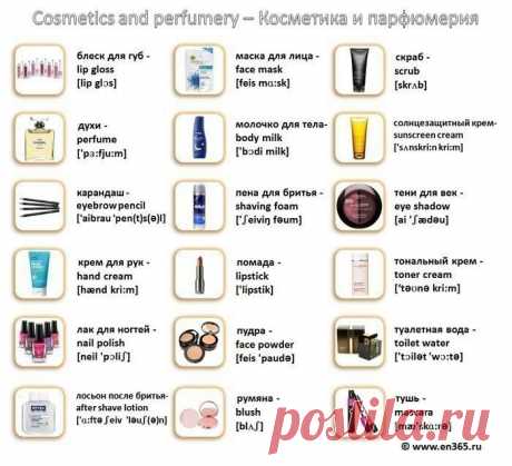 Begin English. Английский язык для всех - Группы Мой Мир
