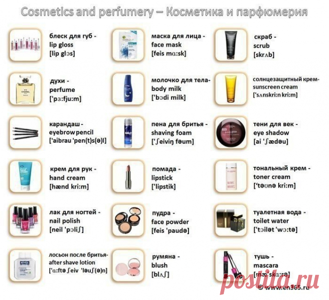 Begin English. Английский язык для всех - Группы Мой Мир