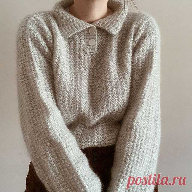 Dorotha polo