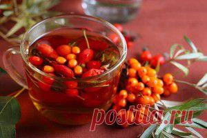 Вкусно и полезно - Облепиха