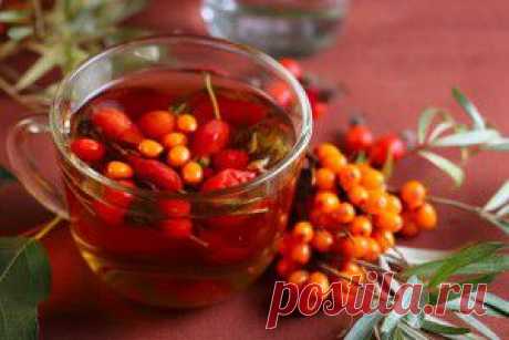 Вкусно и полезно - Облепиха