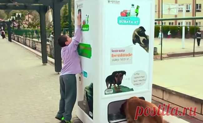 Вот тебе и турки...!