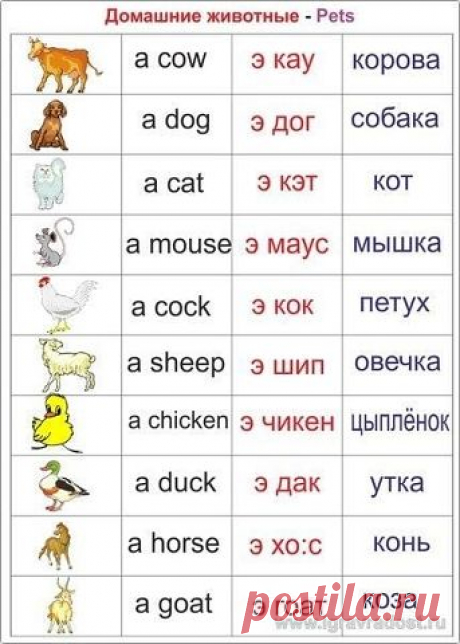 Английский легко в картинках