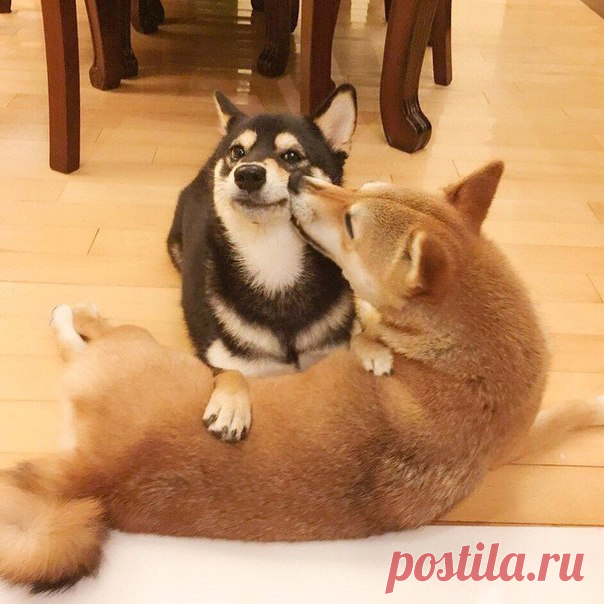 Главное — чтобы было кого в щёчку чмокать