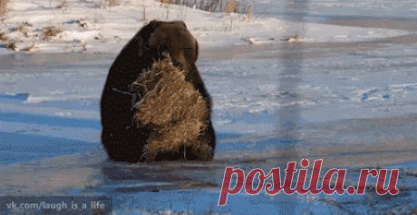 Какое офигенное сено!