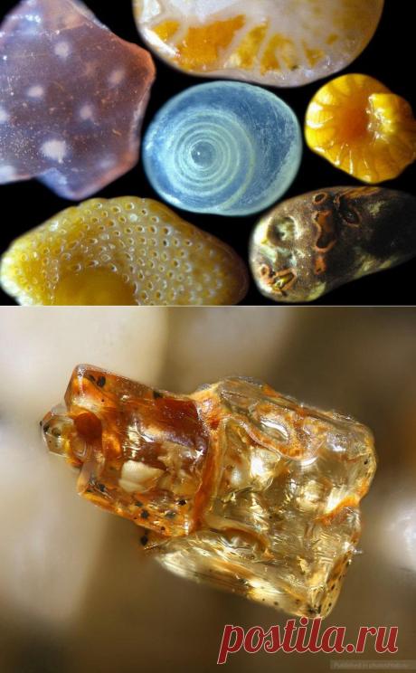 Песок под микроскопом : НОВОСТИ В ФОТОГРАФИЯХ