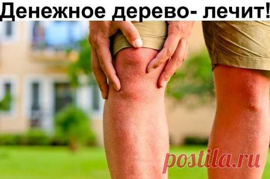 (47) Одноклассники