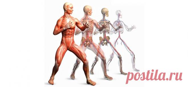 Триада Бубновского от ВСЕХ болезней!